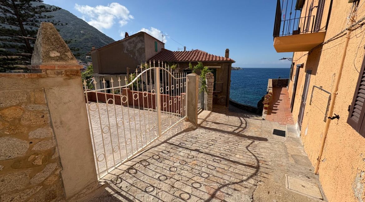 96eb1498-6557-401e-b54a-56662e355647