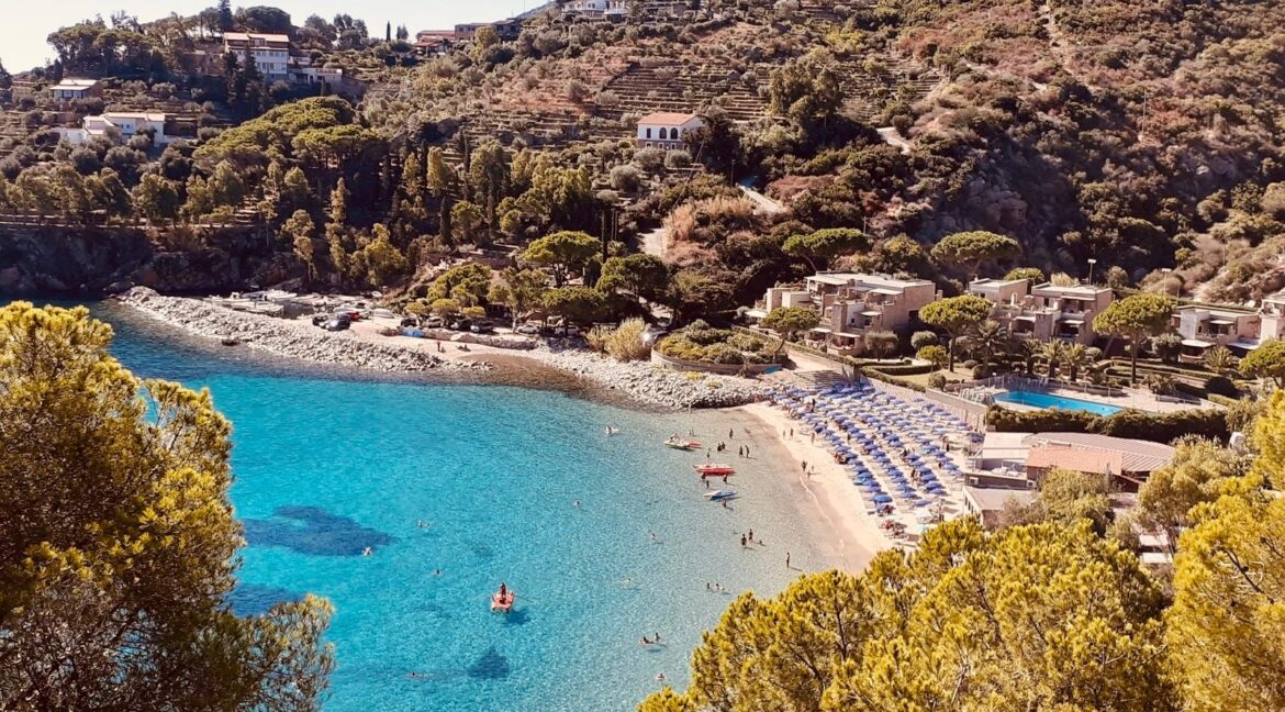 WhatsApp Image 2025-05-27 at 11.11.45