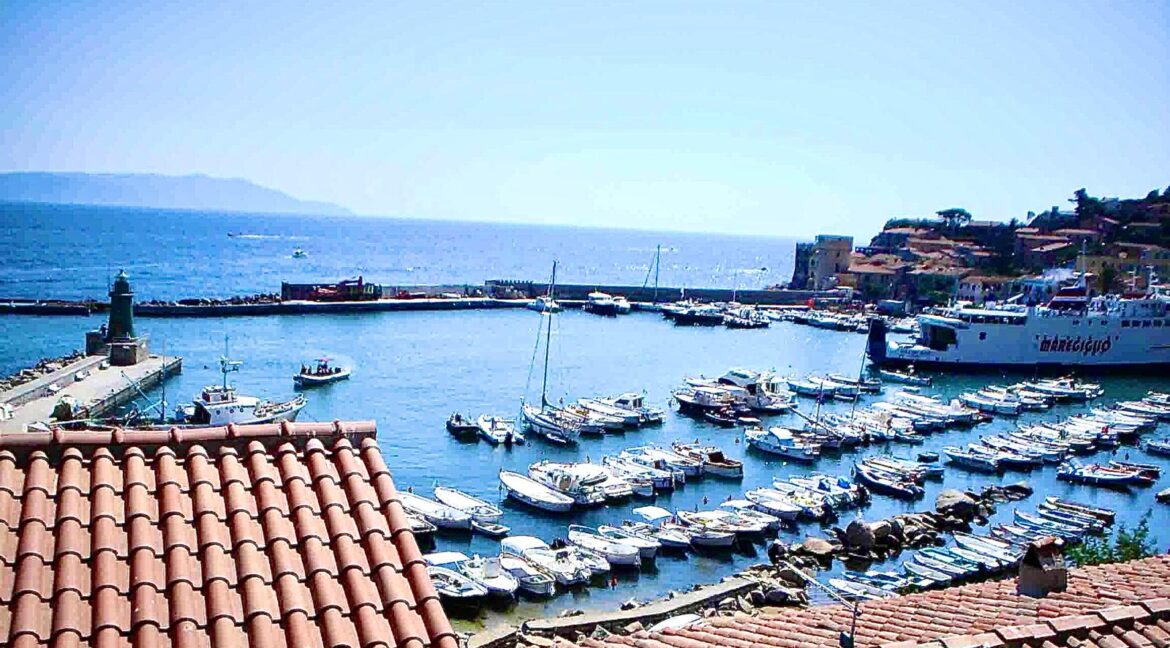 WhatsApp Image 2026-02-23 at 19.00.50