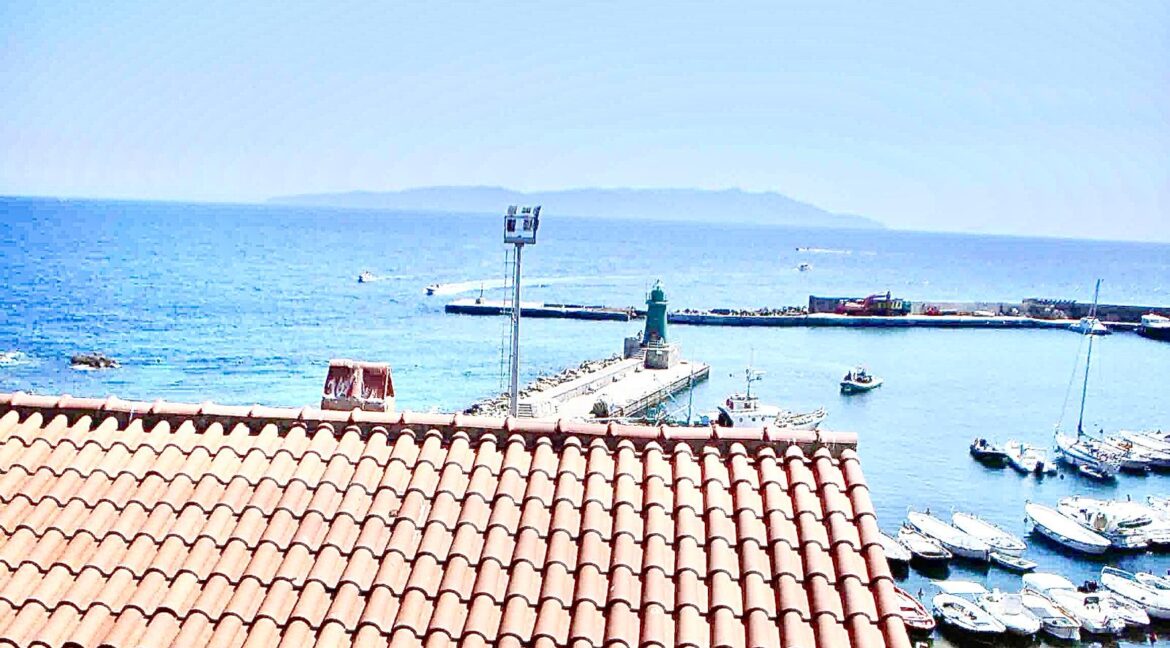 WhatsApp Image 2026-02-23 at 19.04.14