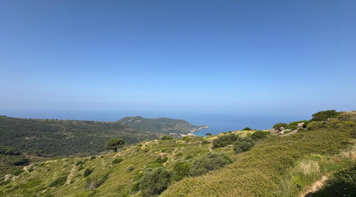 WhatsApp Image 2025-06-13 at 13.08.13